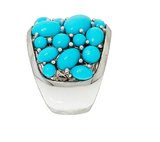 Sleeping Beauty Turquoise Bold Cluster Design Sterling Ring SZ-5 QVC